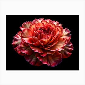 Red And Yellow Carnation Flower Canvas Print