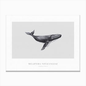 Boho Ocean 1 Humpback Whale Canvas Print