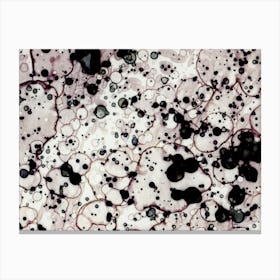 Japanese Ink Blot Art 1 Canvas Print