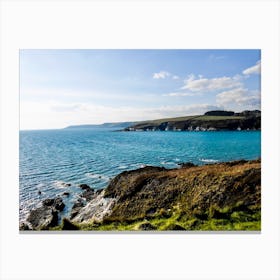 Devon cliffside Canvas Print