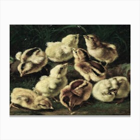 Chicks 2 Canvas Print