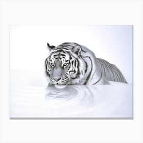 White Tiger - Tiger King Canvas Print