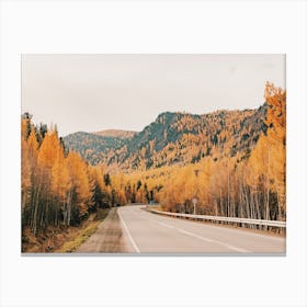 Autumn Road Trip Views Canvas Print