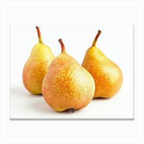 Three Pears On A White Background Canvas Print