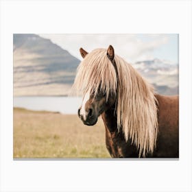 Beige Iceland Horse Canvas Print