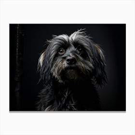 Old Black Lhasa Apsa Dog Showcased In Hyper Realistic Photography Drifting Into The Realm Of Melanc (1) Canvas Print