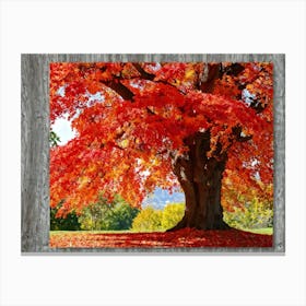 An Autumn Oak Tree Abundantly Lit Branches Spreading Widely Spanning A Slim Sleek Card Leaves Bla 2 1 Canvas Print