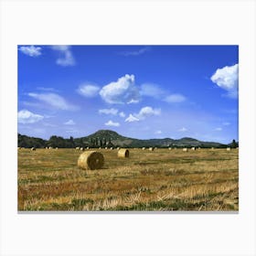 Summer field Canvas Print