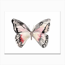 Mantika Butterfly Canvas Print