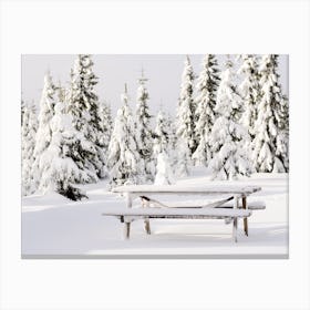 Snowy bench in Sjusjøen, Norway Canvas Print