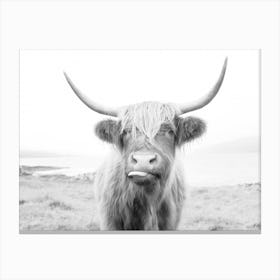 Silly Highland Cow Canvas Print