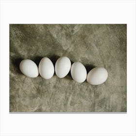 White Eggs 1 Canvas Print