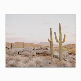 Impresión de cactus nevados, Saguaro en invierno, arte de la pared del  desierto de Arizona, Saguaro