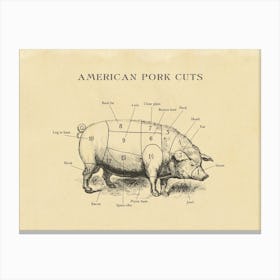 American Pork Butcher Cuts Chart Canvas Print