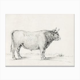 Standing Bull, Jean Bernard Canvas Print