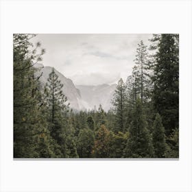 Yosemite Forest Canvas Print