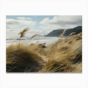 Grass On The Beach Canvas Print