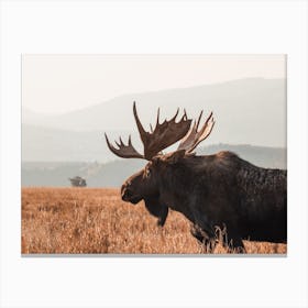 Rustic Moose Canvas Print