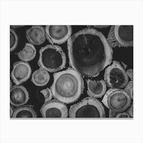 Black and White Logs Canvas Print