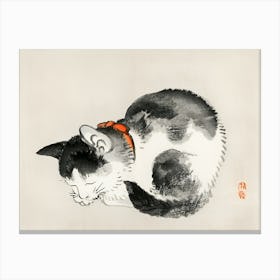 Cat Sleeping Canvas Print
