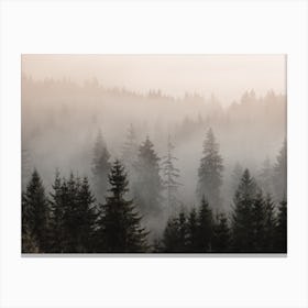 Misty Forest Scenery Canvas Print