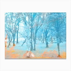 Walk In The Woods Canvas Print