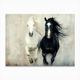 Two Horses Running Canvas Print