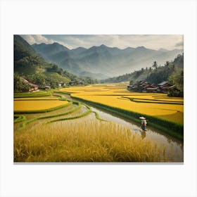 Rice Fields In Vietnam Canvas Print