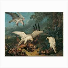 Vintage Hawks In Flight Canvas Print