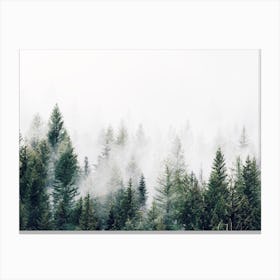 Foggy Forest Trees Canvas Print