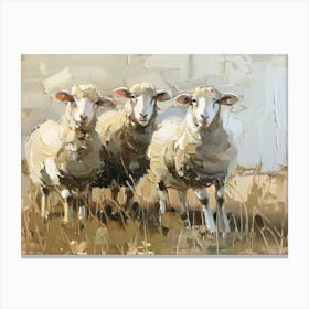 Sheep In The Field 1 Canvas Print