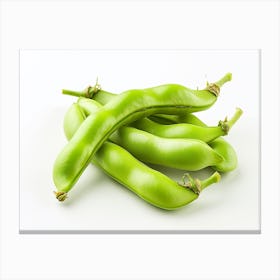 Green Beans 3 Canvas Print