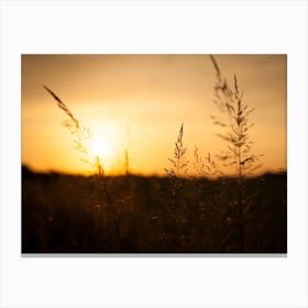 Silhouette of a Yellow Sunset // Nature Photography Canvas Print