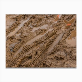 Texture Of Wet Brown Mud With Bicycle Tyre Tracks Canvas Print