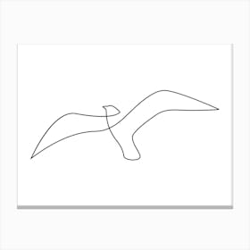 Seagull Canvas Print