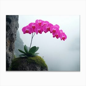 Orchid Flower On A Rock Canvas Print