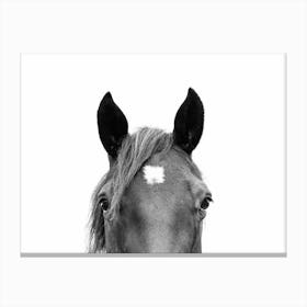 Peeking Horse Canvas Print
