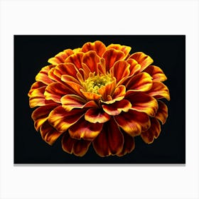 Orange And Yellow Flower On Black Background Canvas Print