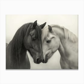 Friends Canvas Print