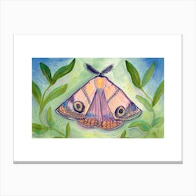 Dream Moth Canvas Print