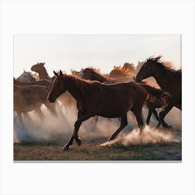 Horses Running Canvas Print