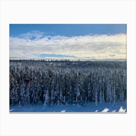 At The Onset Of Winter A Snowy Panorama Unfolds A Vast Forest Exists Beneath The Far Reaching Sky (6) Canvas Print