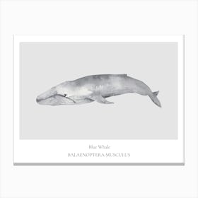 Humpback Whale Canvas Print