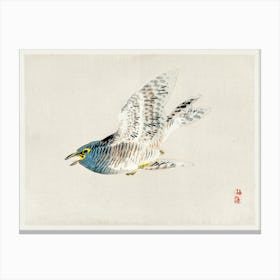 European Herring Gull, Kōno Bairei Canvas Print