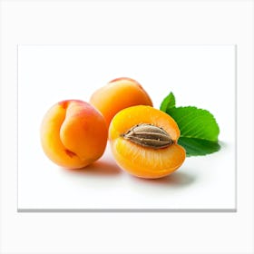 Apricots 3 Canvas Print