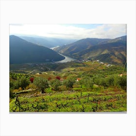 Douro Valley Canvas Print