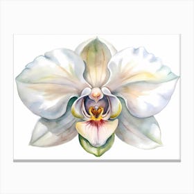 Monkey Orchid Flowers Canvas Print