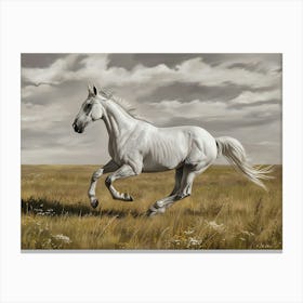 White Horse Galloping Canvas Print