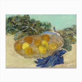 Van Gogh - Still Life Of Oranges And Lemons With Blue Gloves Canvas Print