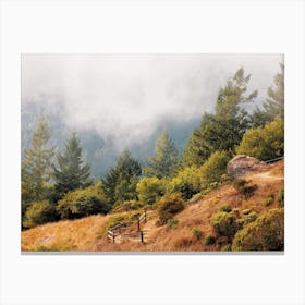 Foggy Forest Scenery Canvas Print